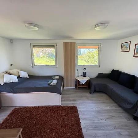 Апартаменты Hegypanorama Badacsony