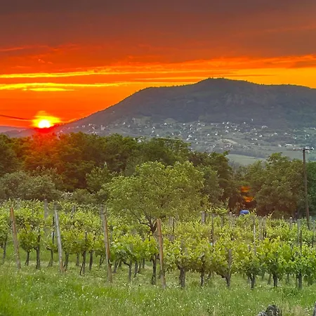 Hegypanorama Апартаменты *