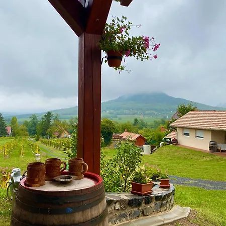 Апартаменты Hegypanorama Badacsony