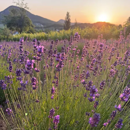 Hegypanorama Апартаменты Badacsony