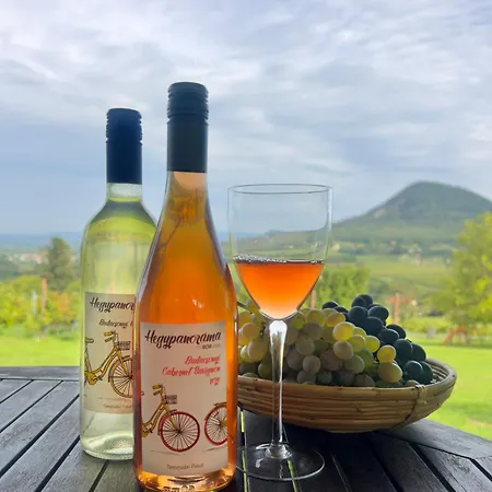 Апартаменты Hegypanorama Badacsony