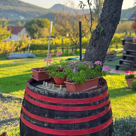 Hegypanorama Апартаменты