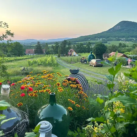 Апартаменты Hegypanorama Badacsony