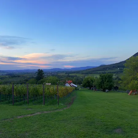 Апартаменты Hegypanorama Badacsony