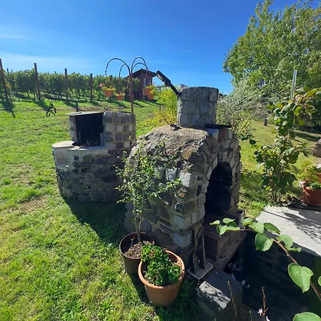 Hegypanorama Апартаменты Badacsony